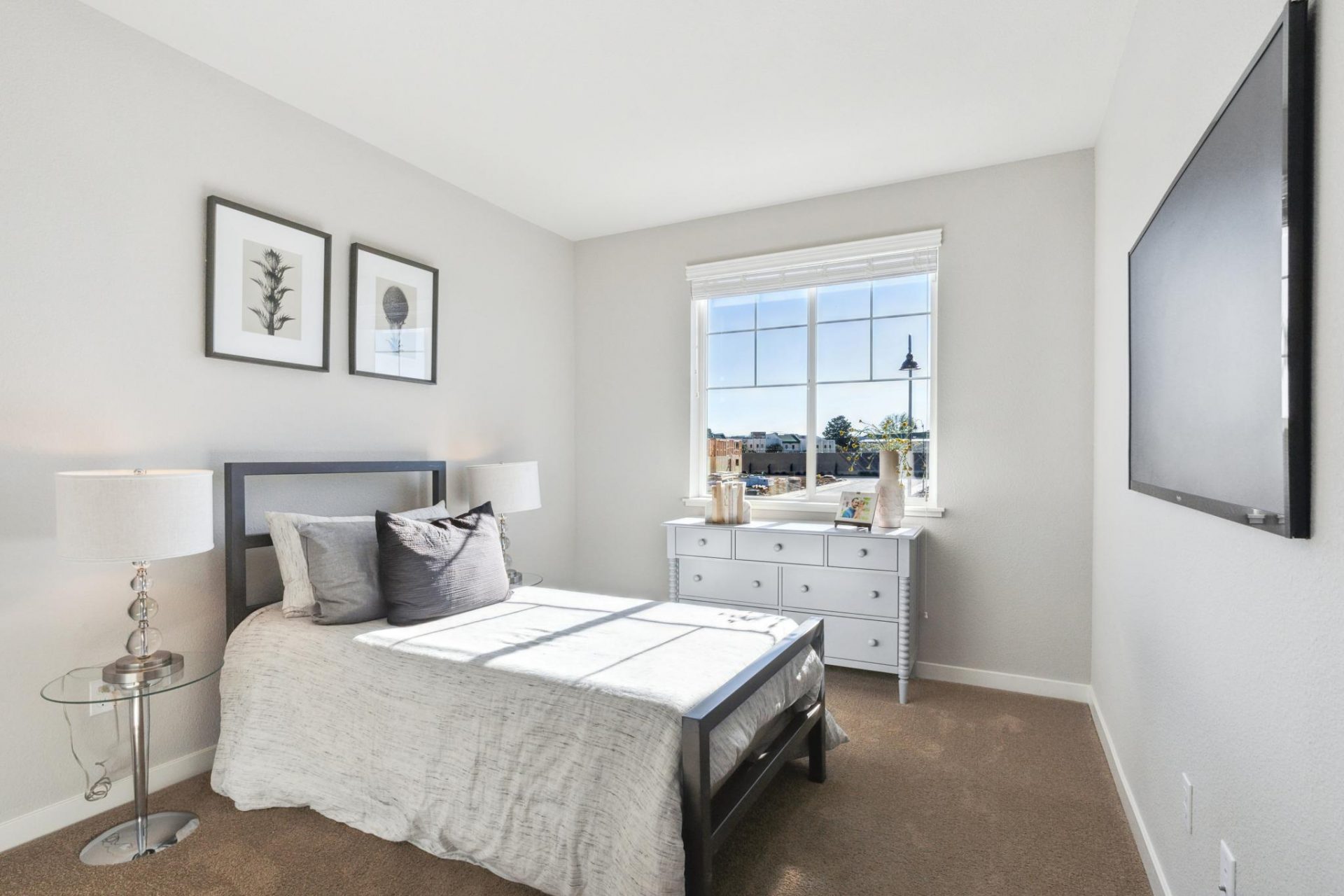 Begonia Int 19.jpg