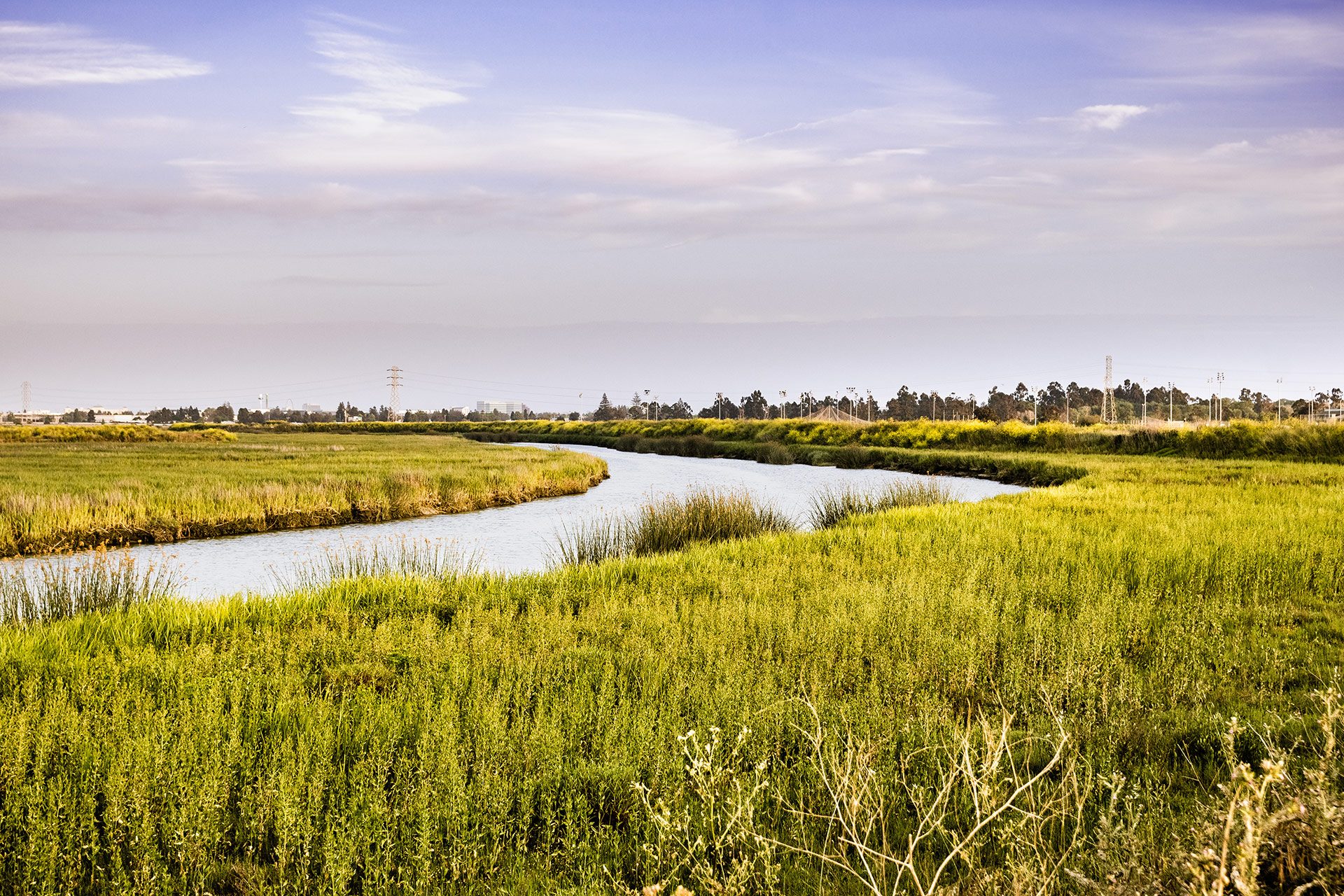 Winding river with tall greenery surrounding and blue sky with white clouds in the distance